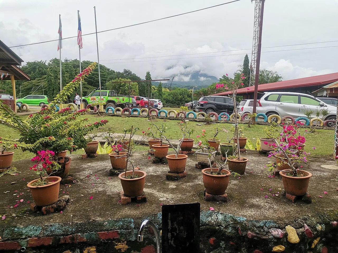 Educación ambiental en la escuela: proyectos que dejan huella